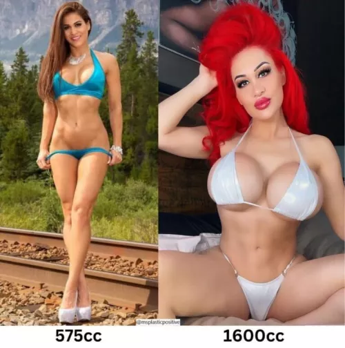 Cute on the left, 1600cc bimbo on the right by prezporn