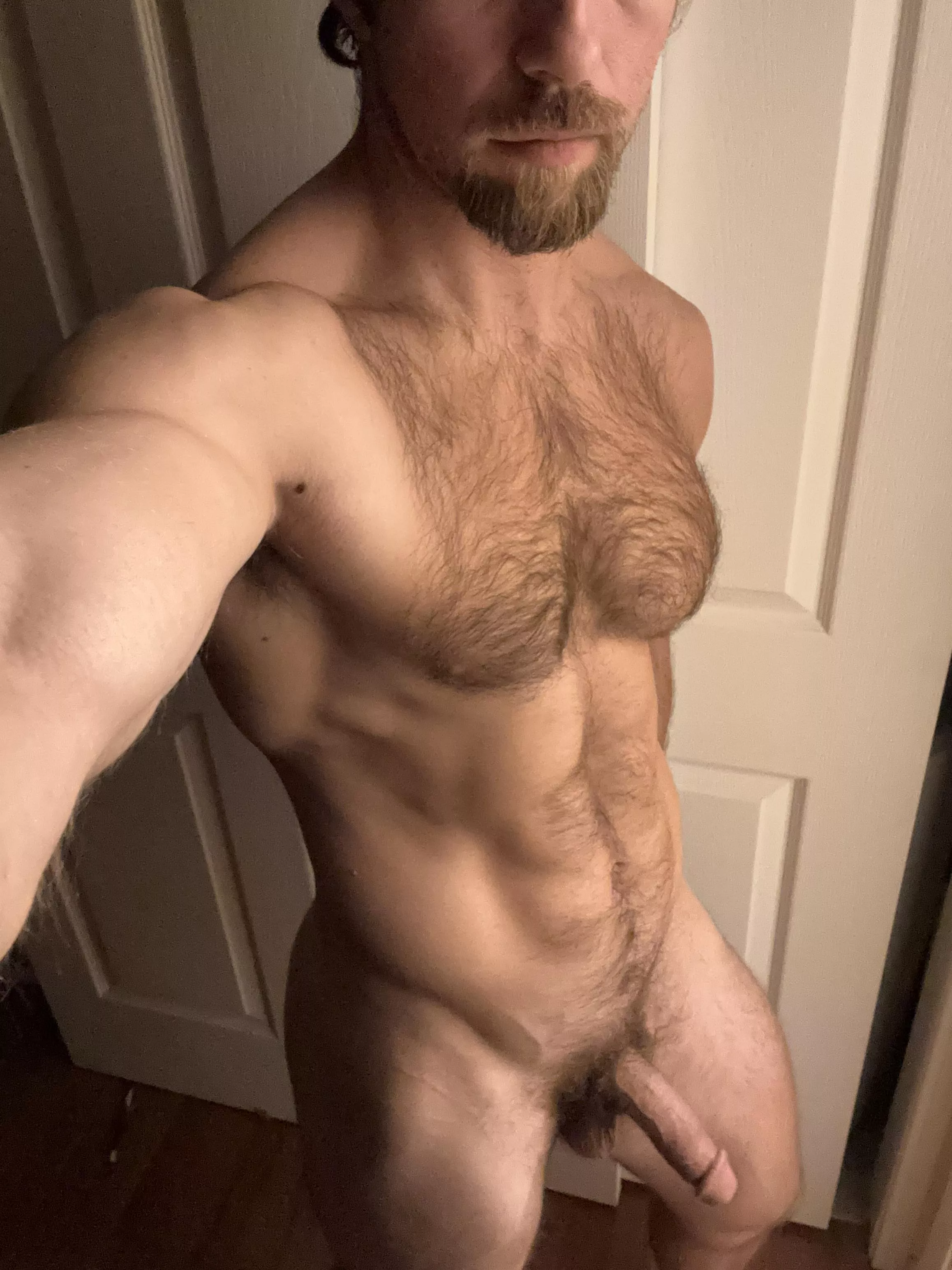 Hello posted by sexybimuscle777