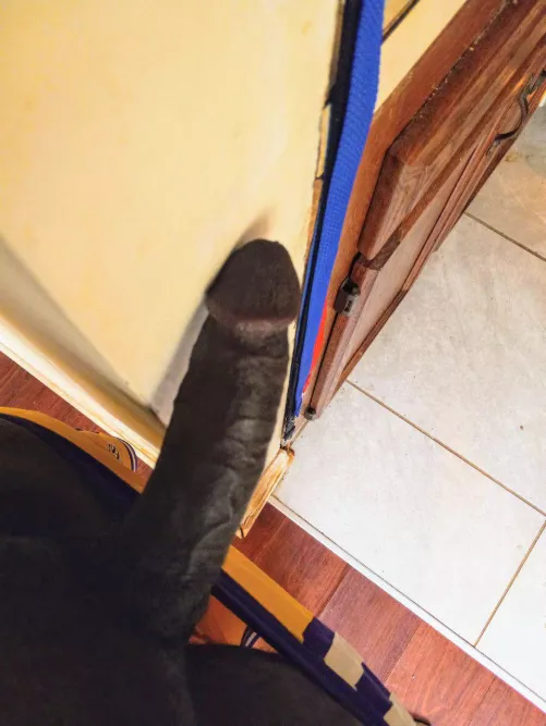 I'm not pulling out...😈 by Novemberburnsred