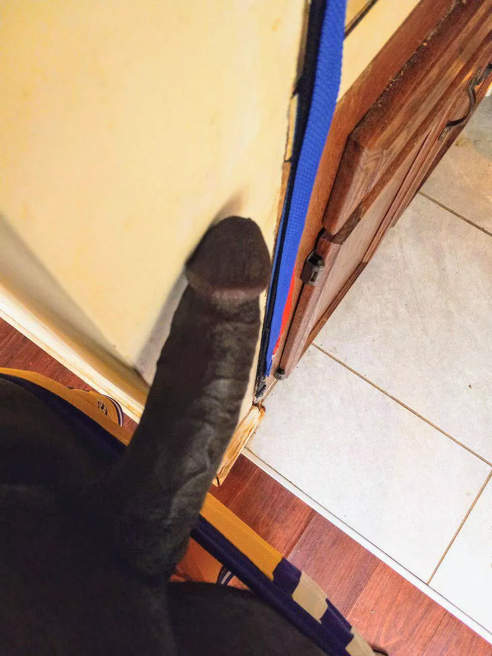 I'm not pulling out...😈 posted by Novemberburnsred