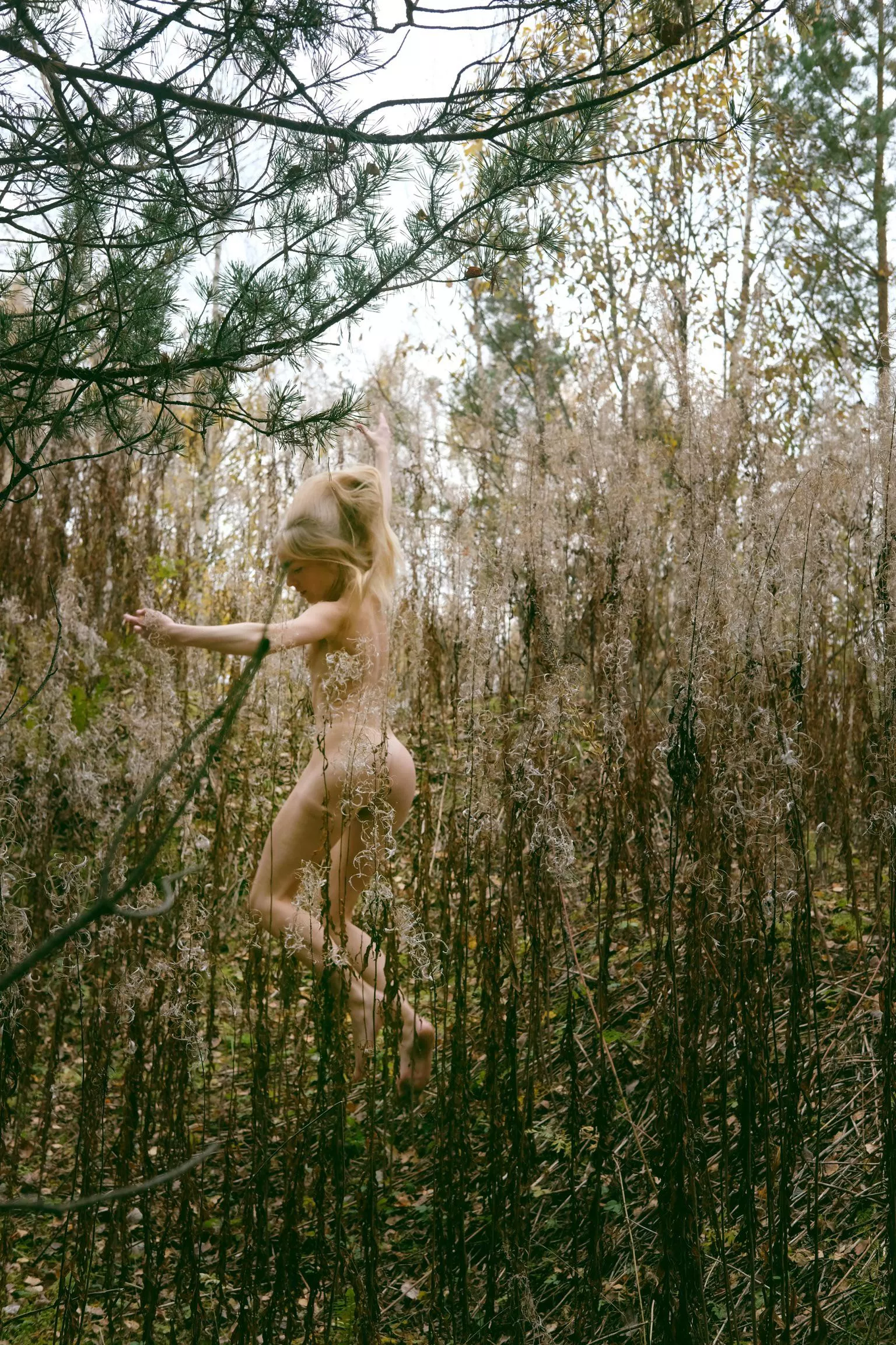 Jump posted by Artanni55