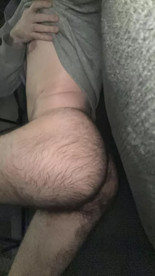 Lazy day off. Any takers for this hairy ass? by hollowbodies777