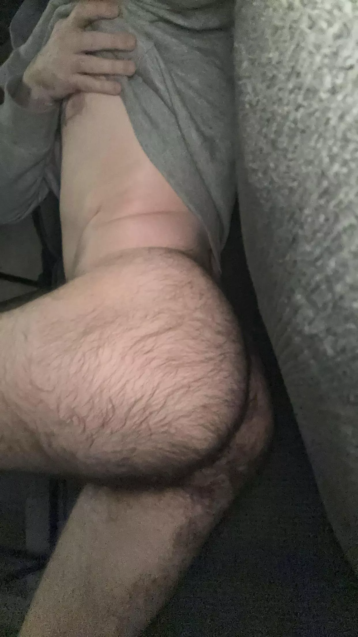 Lazy day off. Any takers for this hairy ass? posted by hollowbodies777