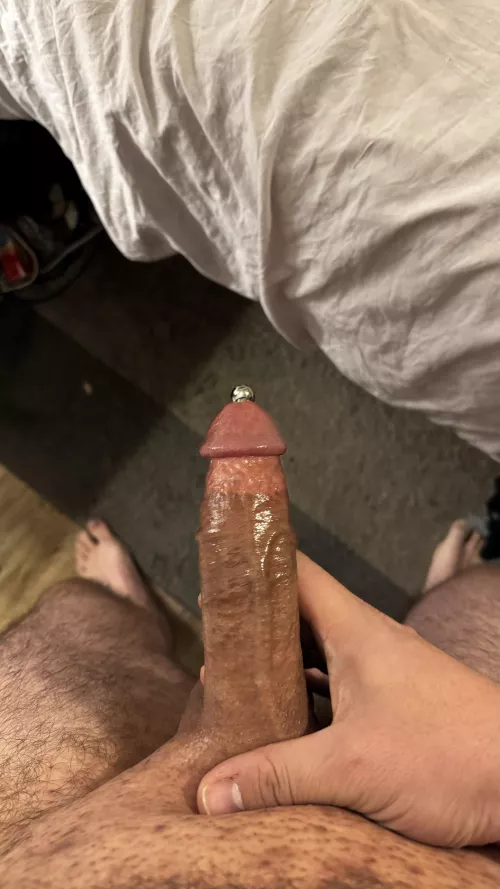 My 0 gauge PA.  by AideShoddy556