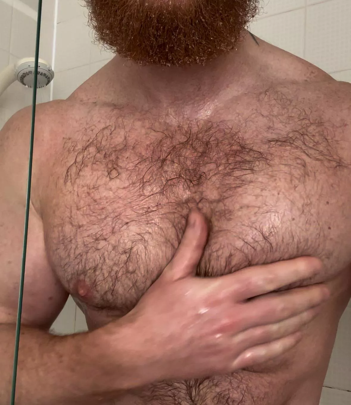  my nipples might be too hairy for you.  posted by Ok-Philosopher-9562