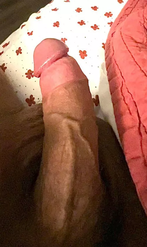 Rate my Chinese cock? by Tight-Split888