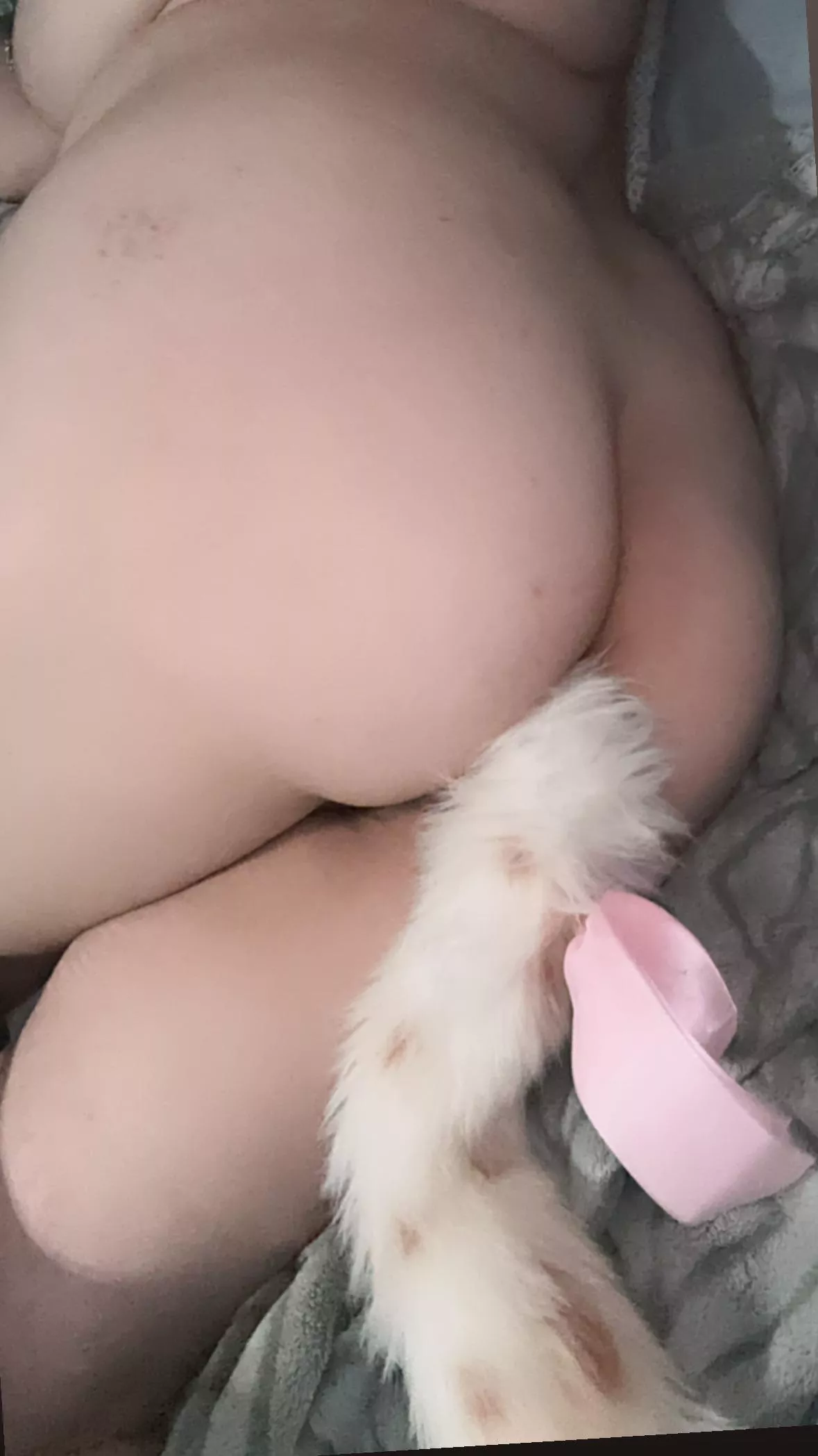 tail in !!! would u stroke my tail .... :< posted by vampvoid