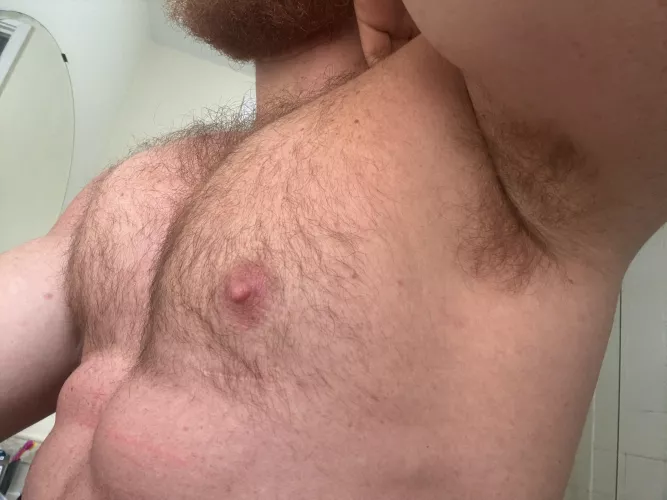Took this earlier today before I shaved my pit by Ok-Philosopher-9562