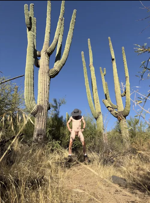 🌳 Tree pose Tuesday 🌳 by Boobluvr0069