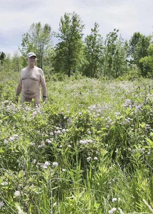 Wandering the tall grass. by Extension-Dust-207