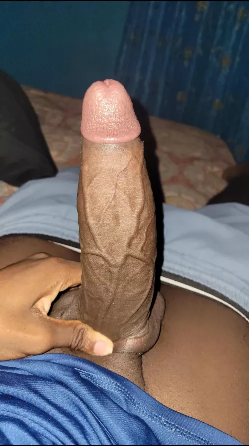 19 m college frat woke up bricked asf lmao @elijah_12349 by Unique-Astronomer626