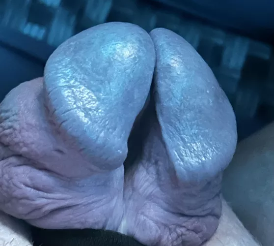 53 Chevy blue tattooed head by ZzLavergne