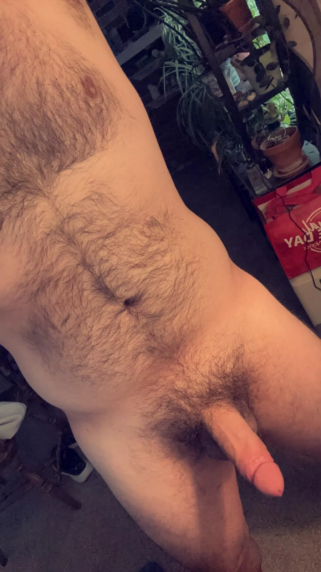 Be a good boy and keep me entertained  posted by hardbob69