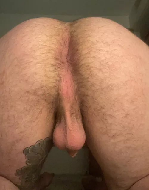 Bent over  by Holiday_Abrocoma_542