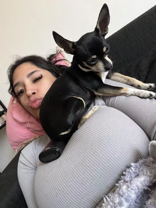 He's favourite place to chill 🤭 by PaulaFlores