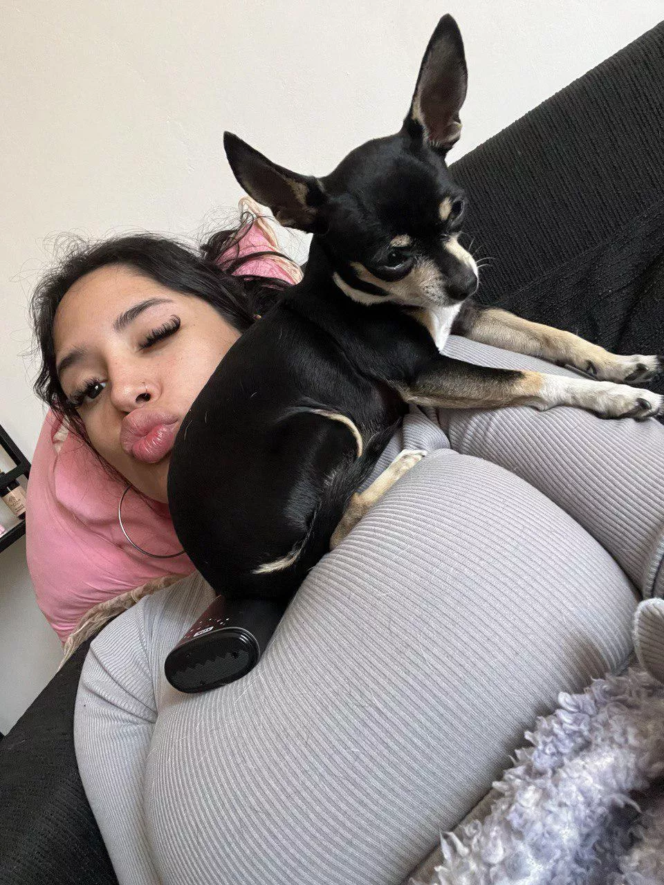 He's favourite place to chill 🤭 posted by PaulaFlores