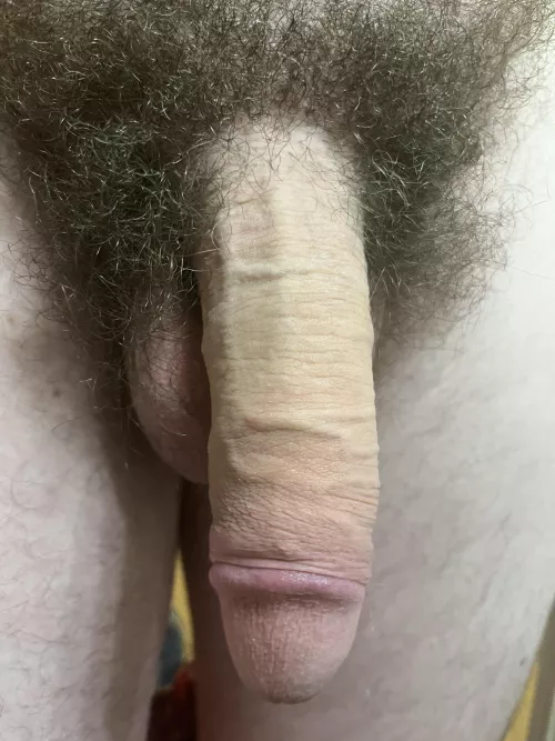 Sexy softie  by Crazy-Leg-8179