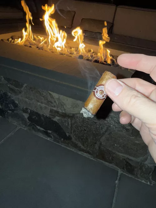 The last third of a number 4 is the best part by SPQRstonks