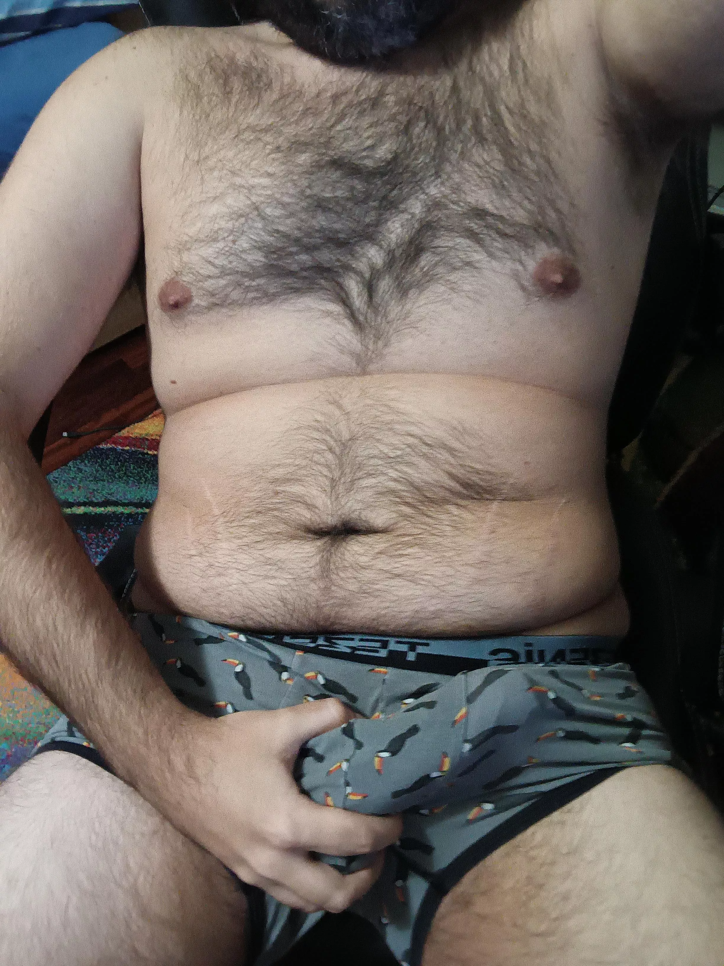 Toucans (33) posted by ShyItalianGuy