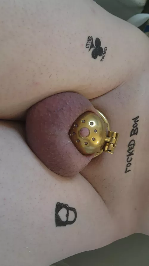 What do you think? by unearthedrocket