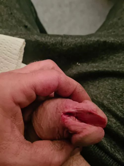 Wie komt er ook uit Nederland? by Complete-Yard374