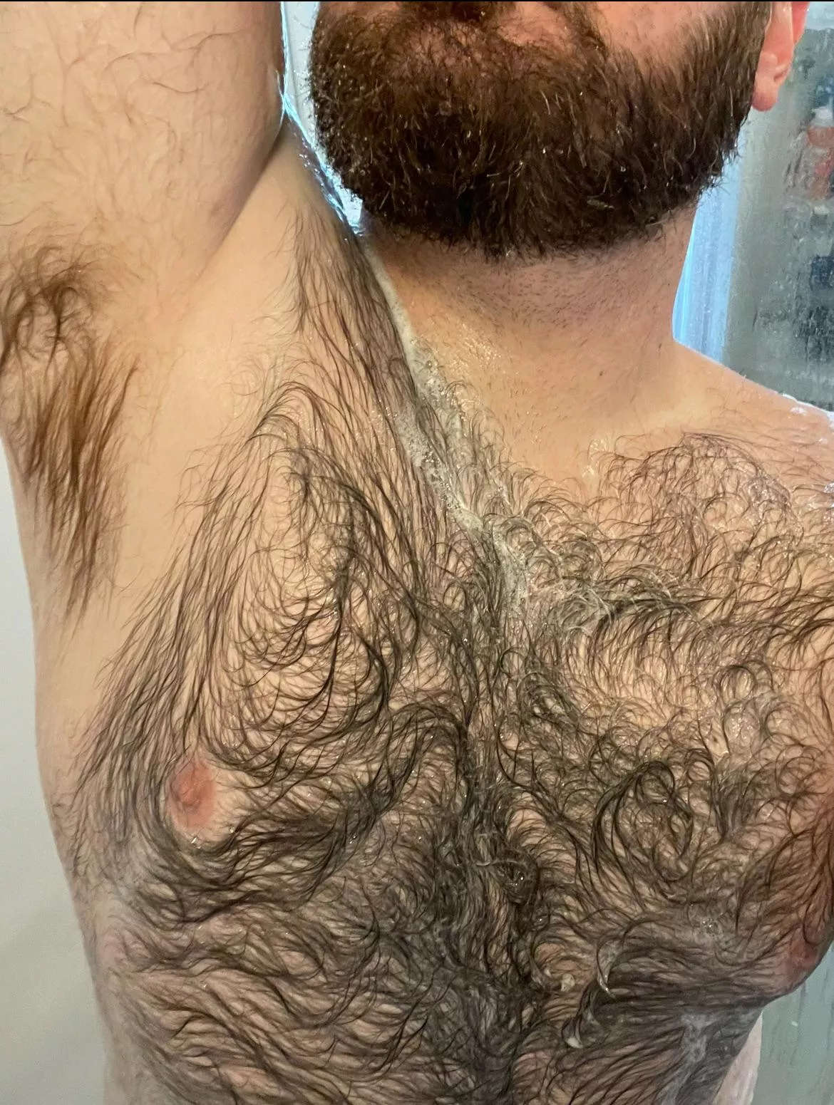 Wipe me down  posted by tncurious