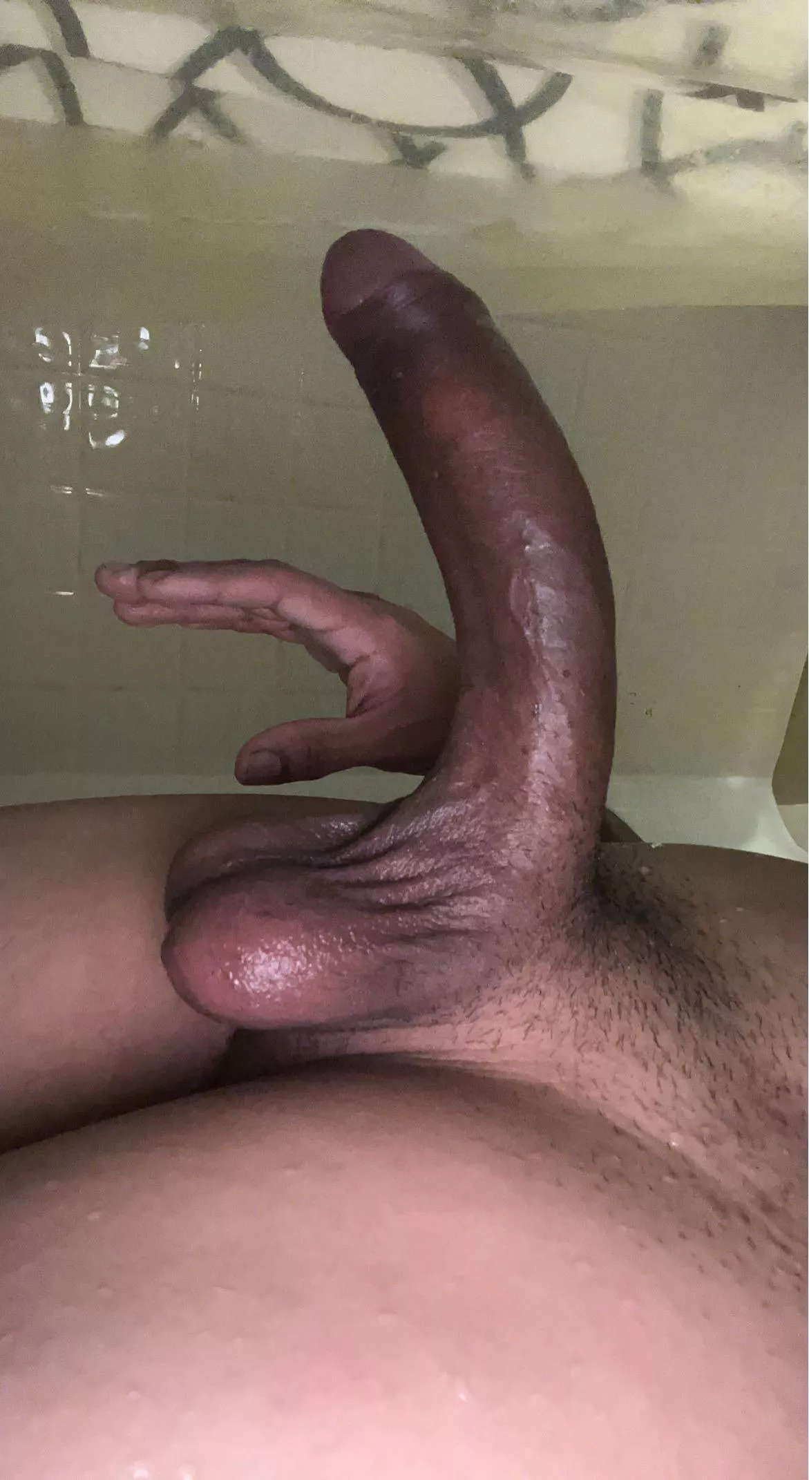 You licking my balls or tip first ?:)  posted by Traditional-Life-668