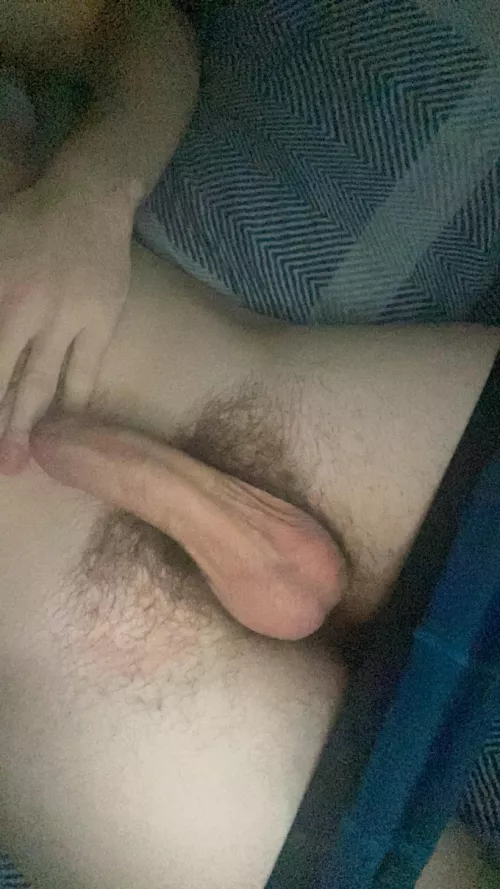 19m virgin plymouth free house by NiceAppearance1513