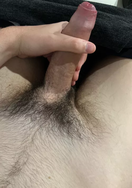 24 m nz. Verbal guys or other kiwis hmu. Logey145 by logey14