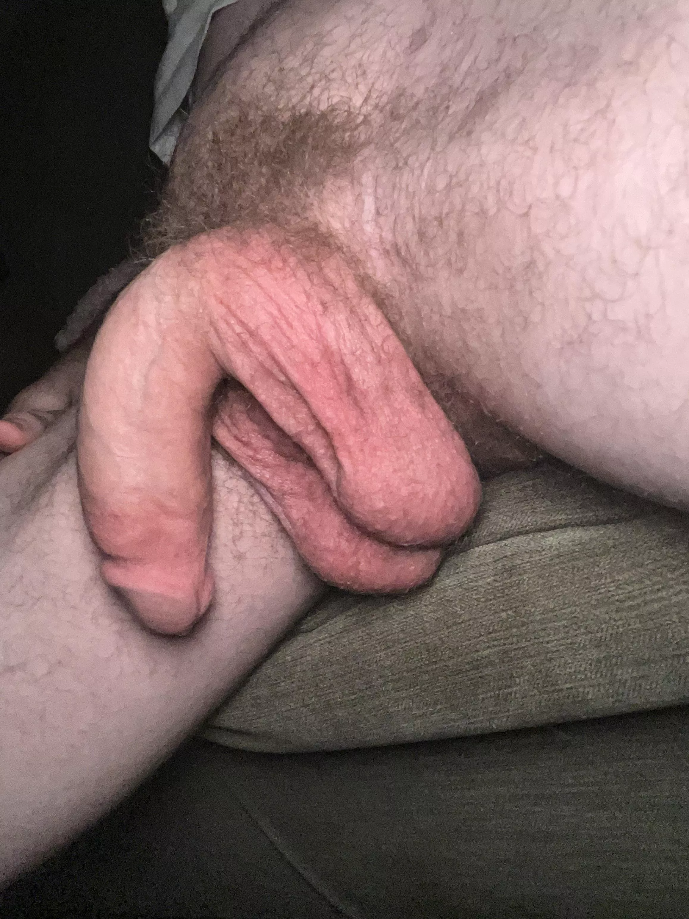 Balls [24] posted by Lanky-Air2833