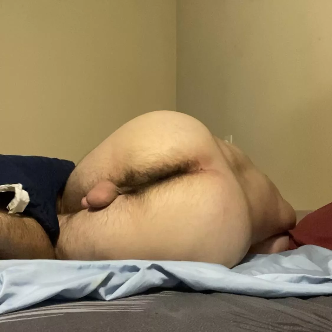 Wake me up  posted by Cockslut6778