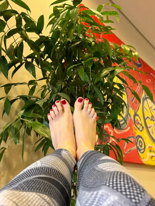 What do you find most attractive about my feet? 🥵 by Crystal_Foot