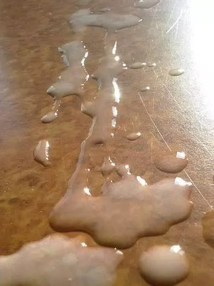 Anyone wanna have a private chat?😏 posted by RabbitSufficient768