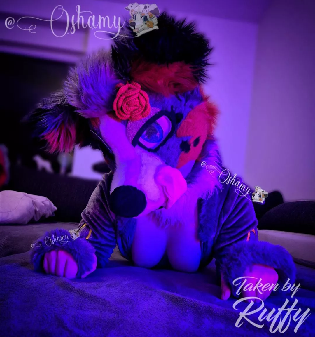 ~ Happy Halloween 🍬🎃💋
Today I dressed up as Nachtara 😋

Whats your plan for today? 😈👻 posted by Oshamy_the_Furry_YT