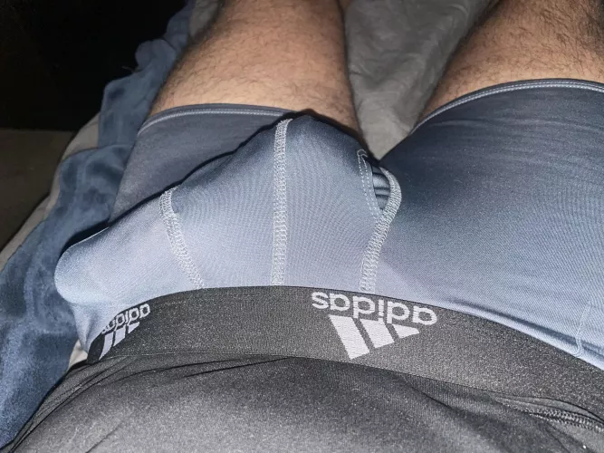 (M53) Trick or Treat? by Mediocre_Window9668