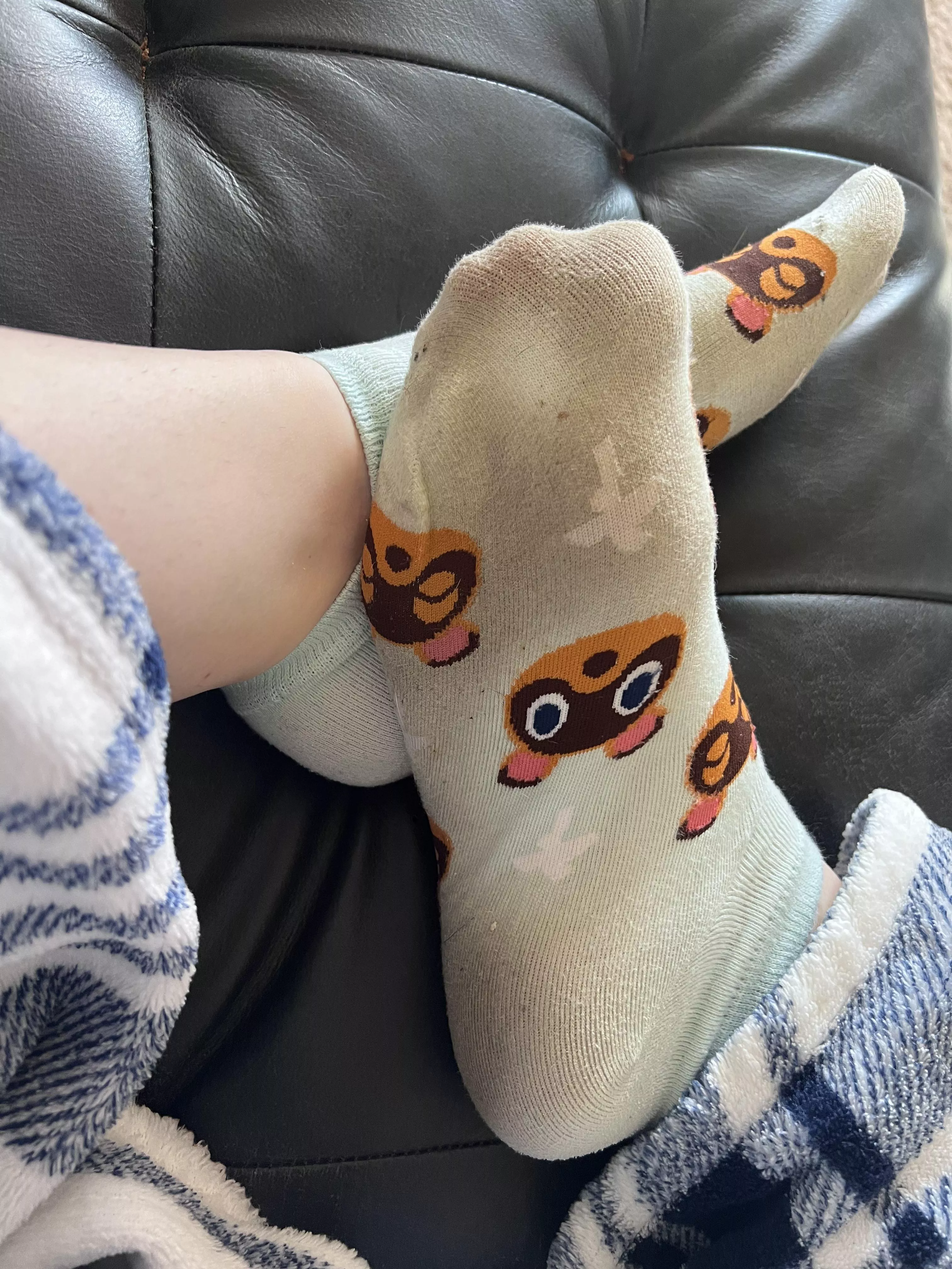 3 day sweaty stinky gym socks  posted by WhileAppropriate1161
