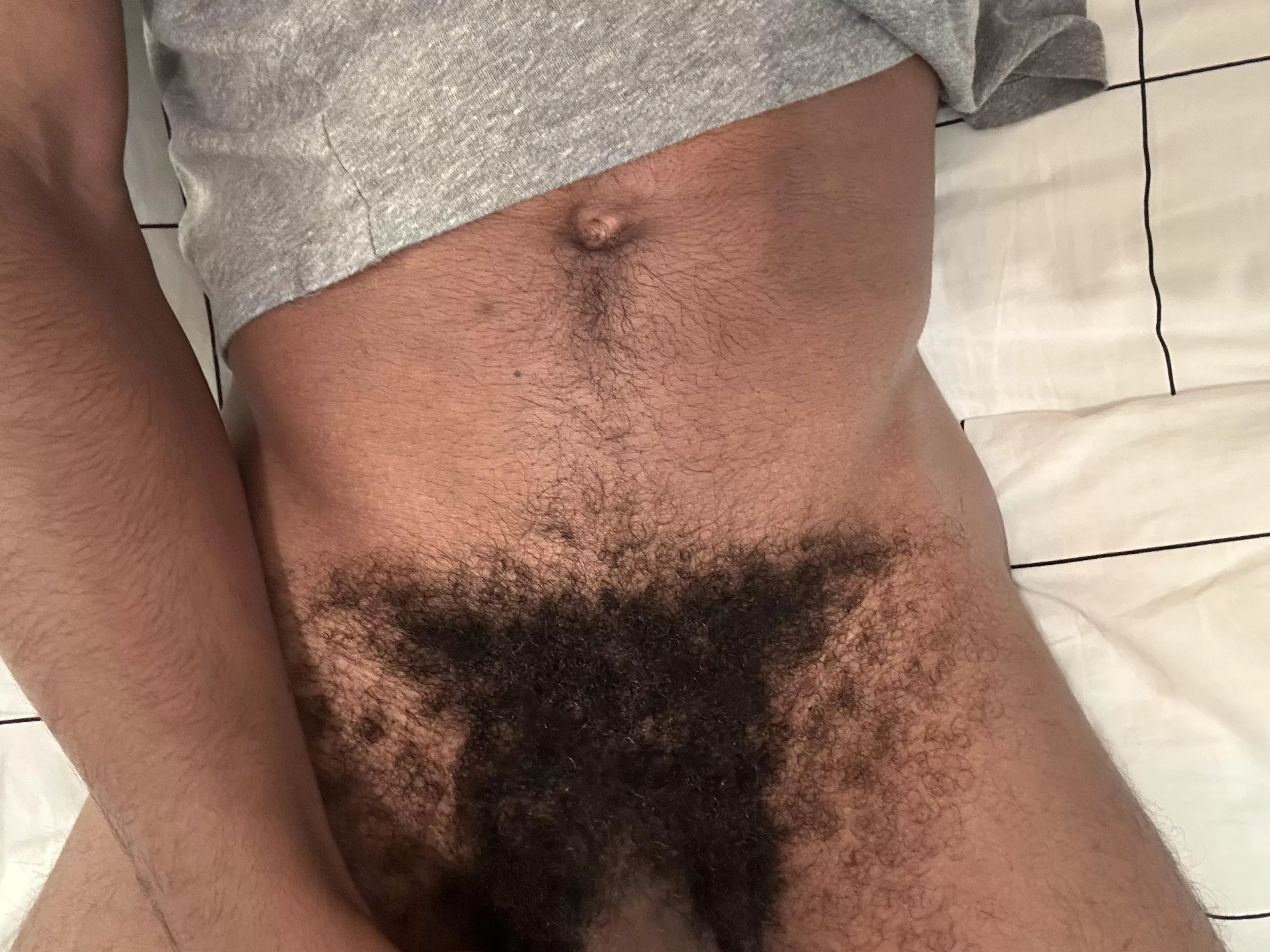 Morning bush posted by FinePerception3276