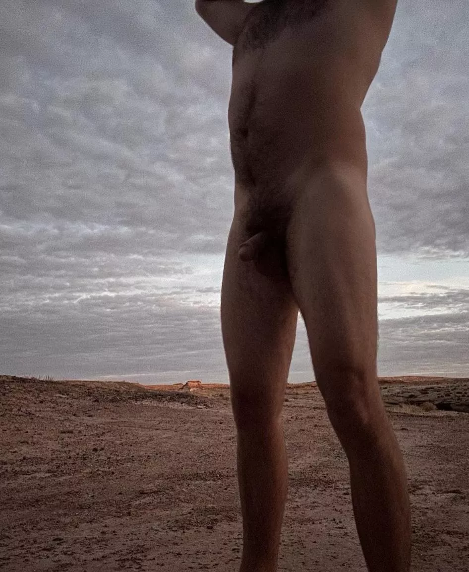 On a naked desert hike posted by user19911991
