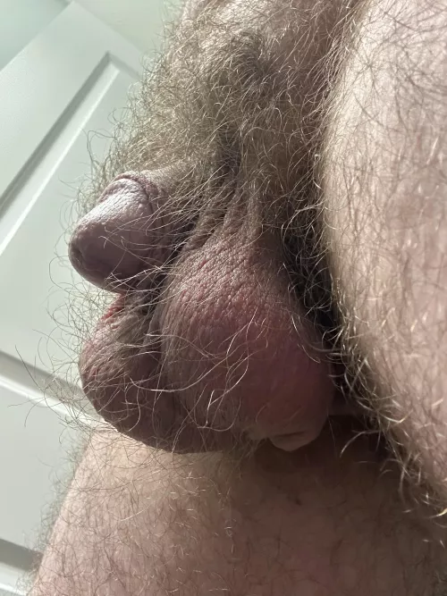 Balls [37] by Fail_Low