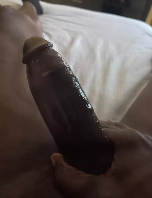 BBC Looking for head and more Monday morning  by Material-Increase529