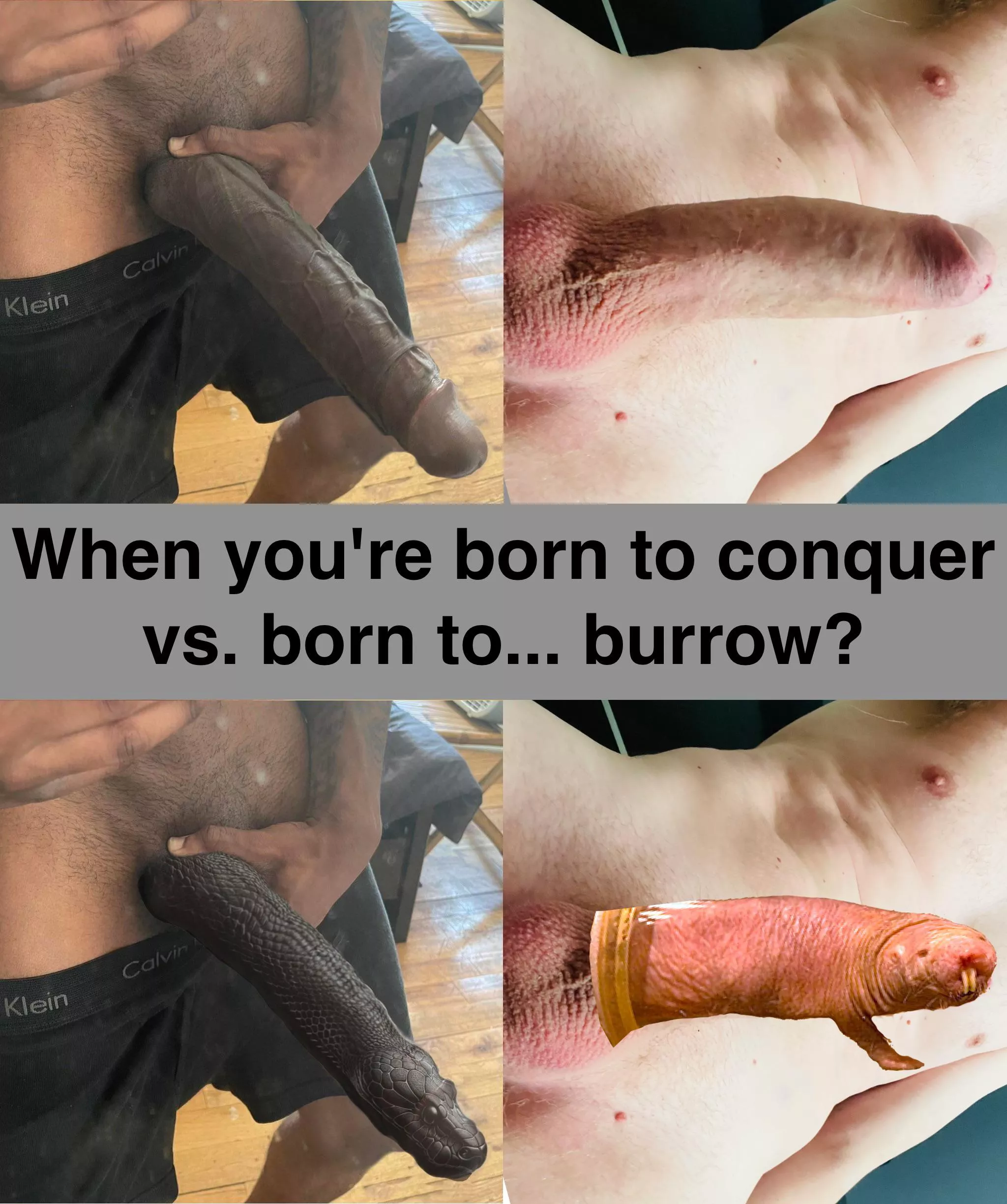 Black vs white cock posted by SatisfactionOver3768