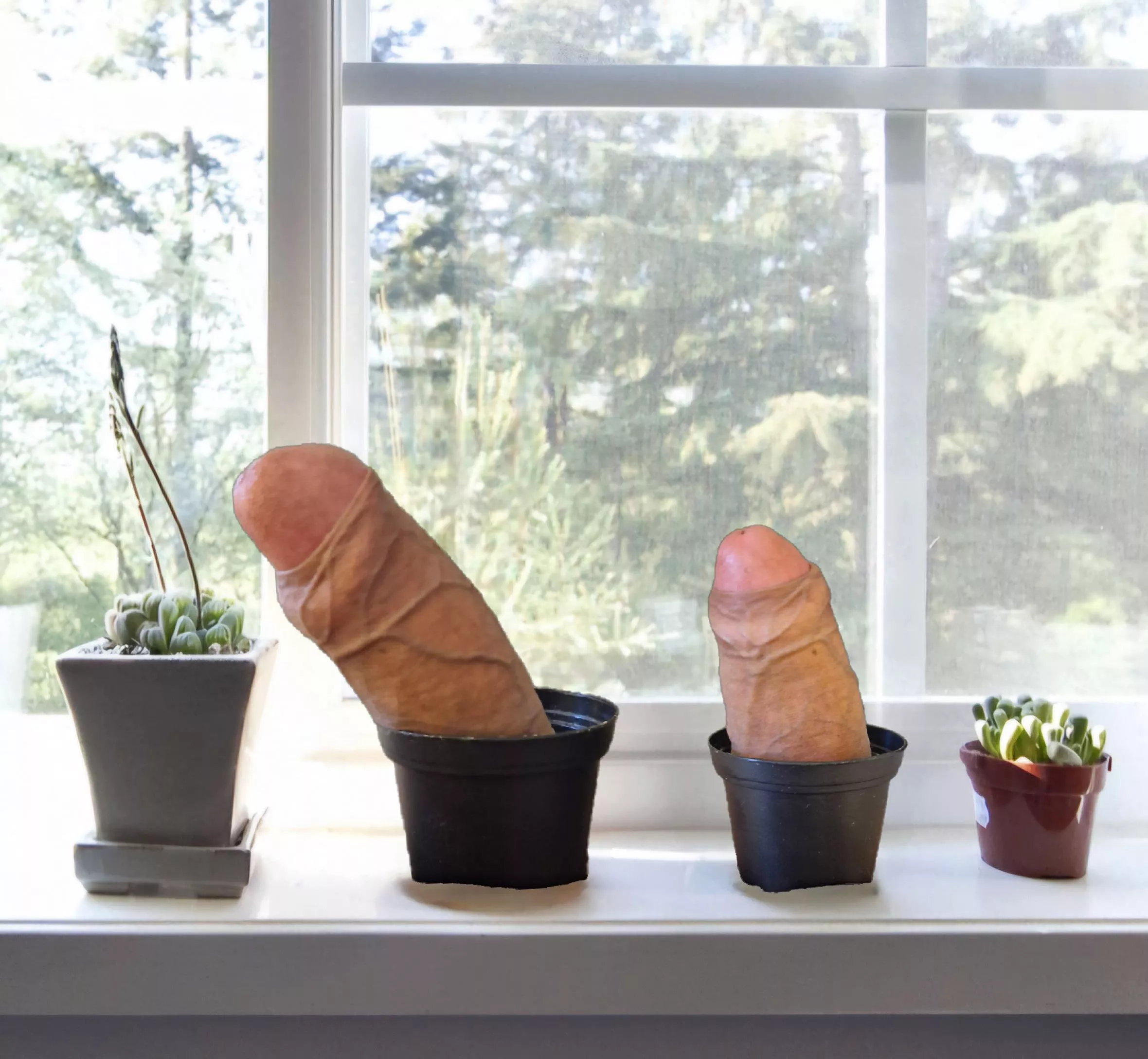 Cocktus posted by Consistent-Cream-779