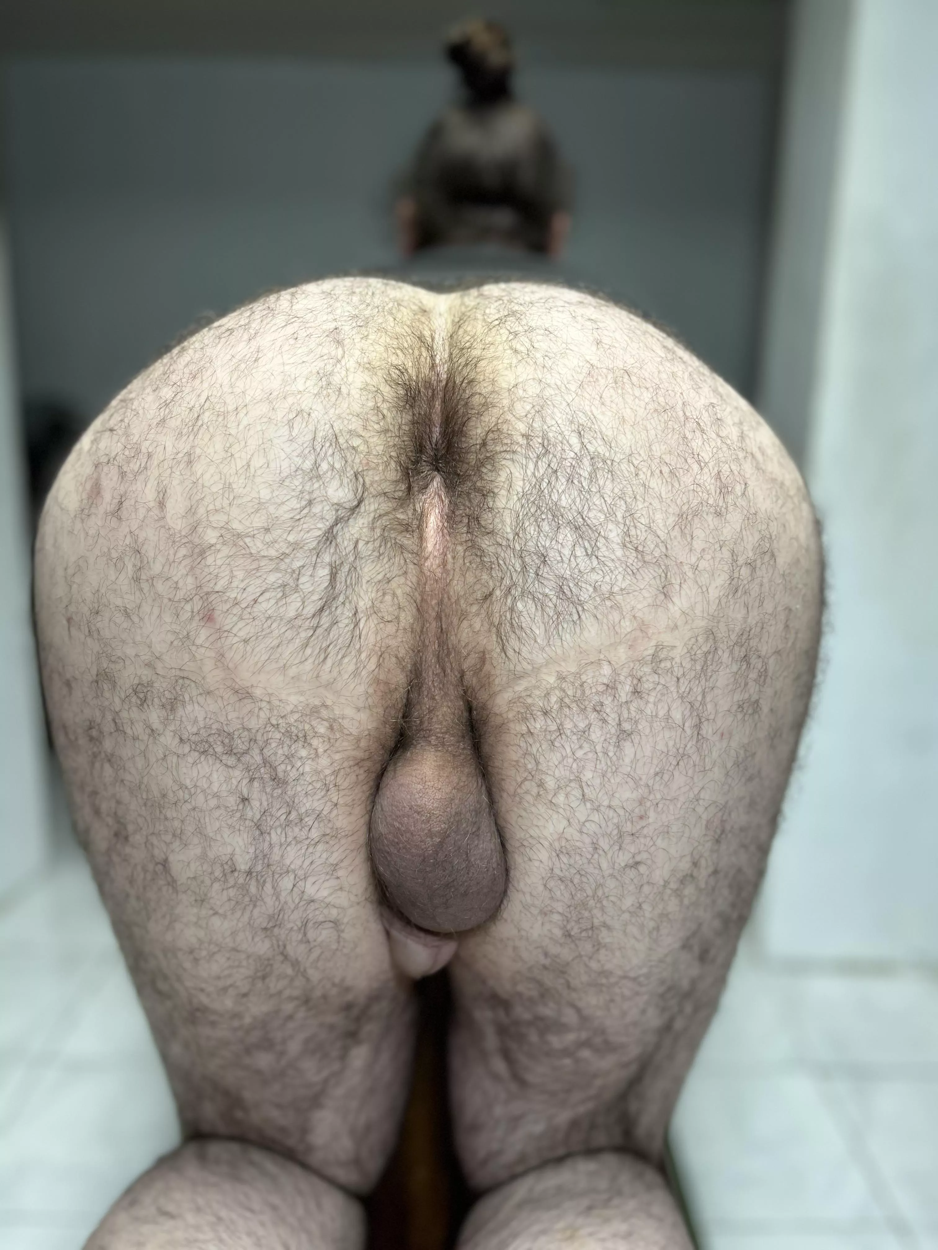 Do you eat ass? posted by best-hole