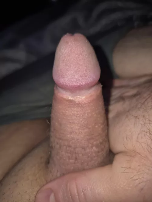 Hello by Active-Mall-8252