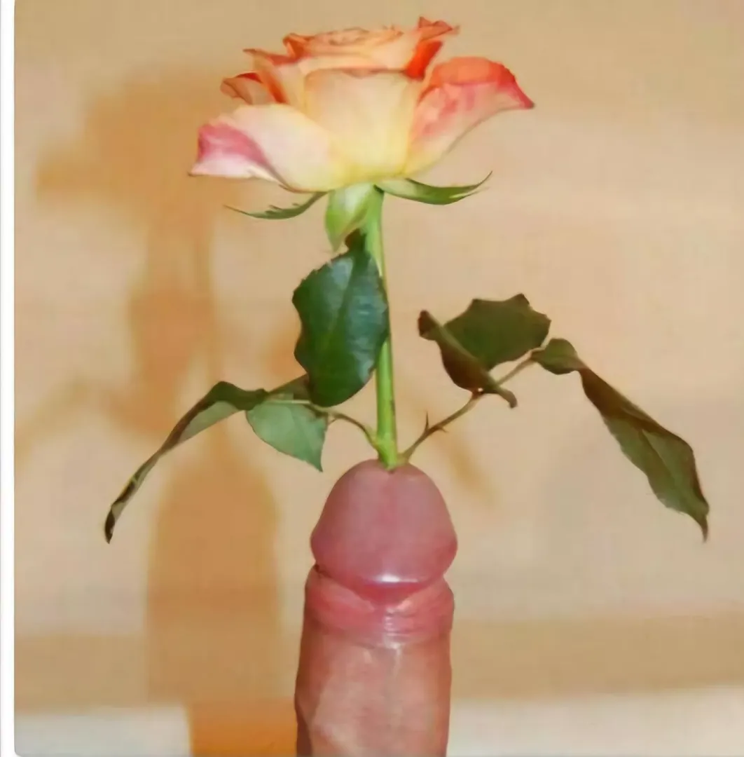 If you don't have any ideas for valentines day here's one  by cowboydan69