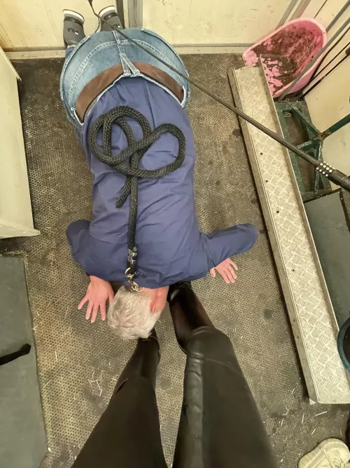 In my horsetruck  by queensasjaluna