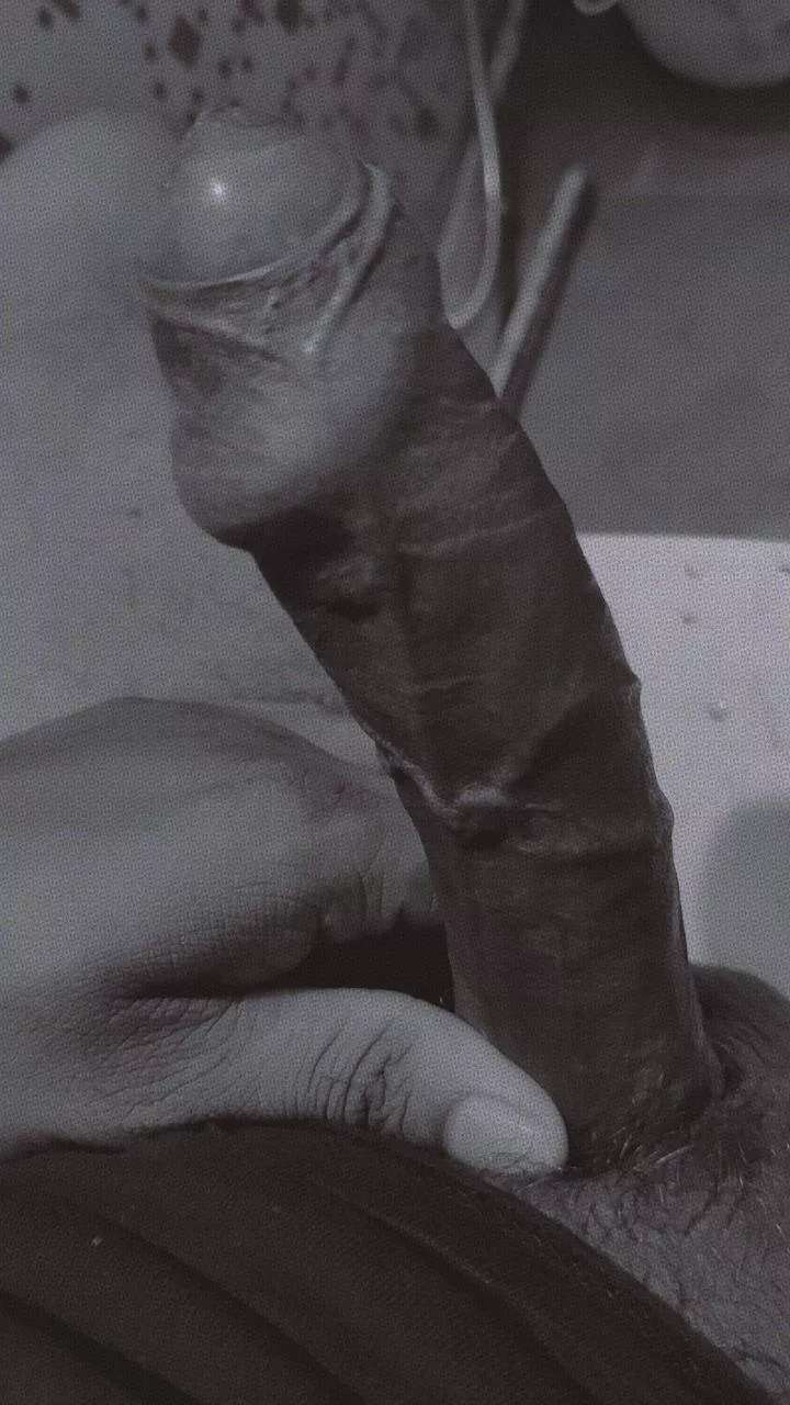 Want me to pull it back? [27] posted by Alphapratikk