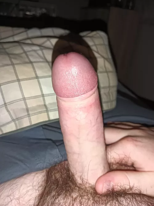 18m looking for a couple to join by AffectionateEnd-353