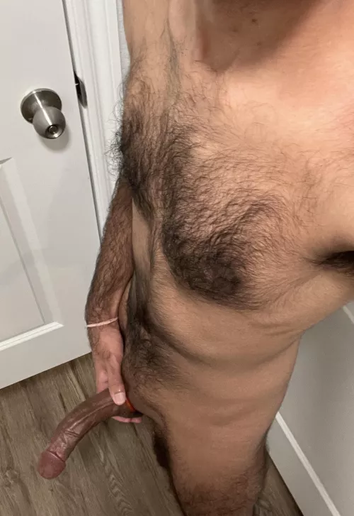 Bull north Austin available tonight  by throwaway2356885