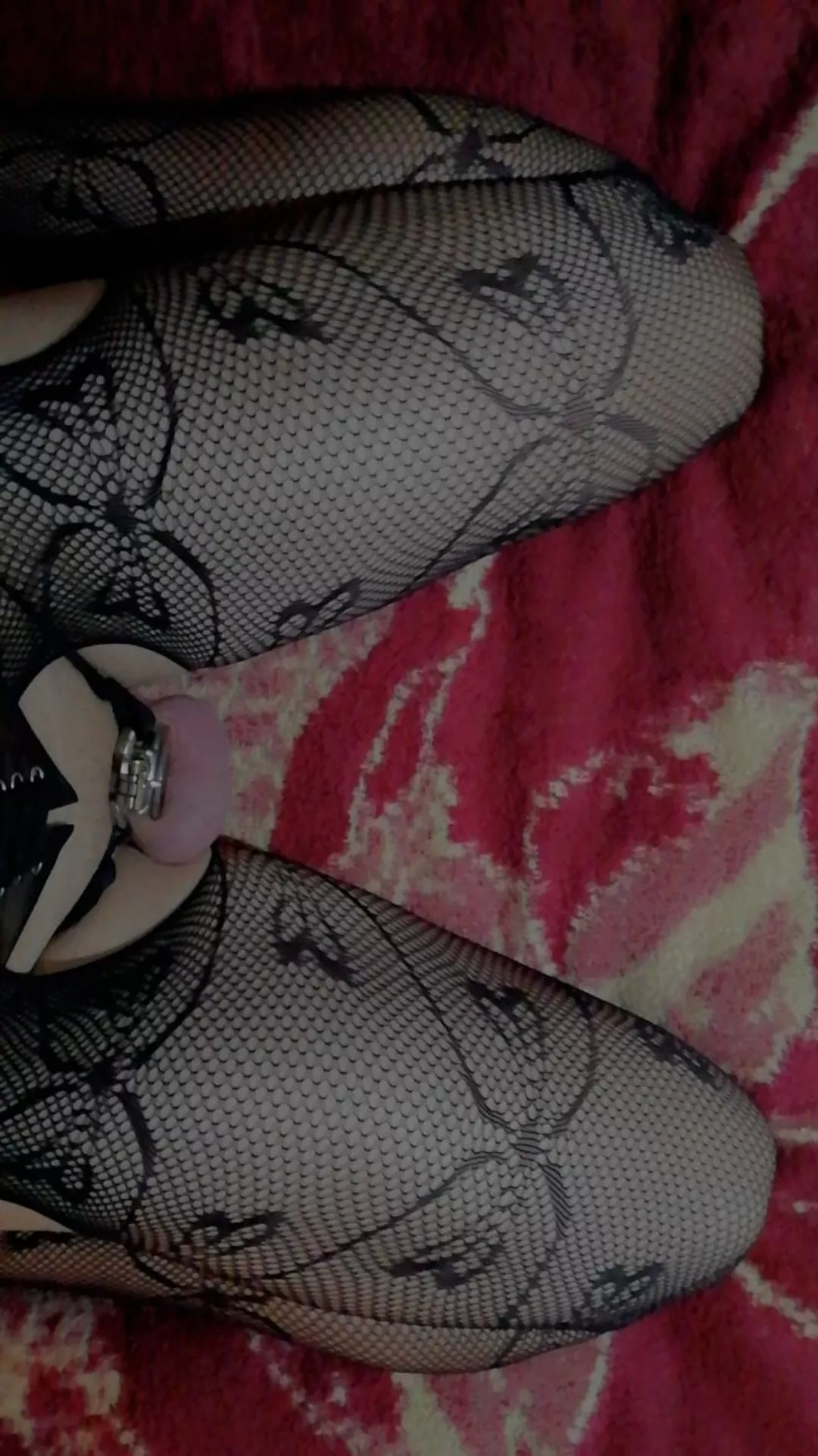 Flat cages are so cute :3 posted by Little_Rule_9485